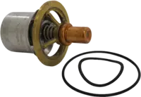 428167V Technical valve parts