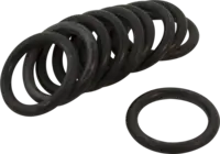 469360/10 O-rings & Sealings